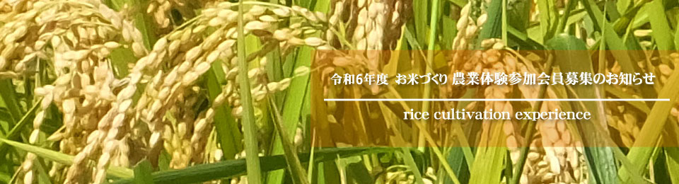 令和6(2024)年お米づくり農業体験参加会員募集のお知らせ｜農事組合法人　らんざん営農　公式サイト