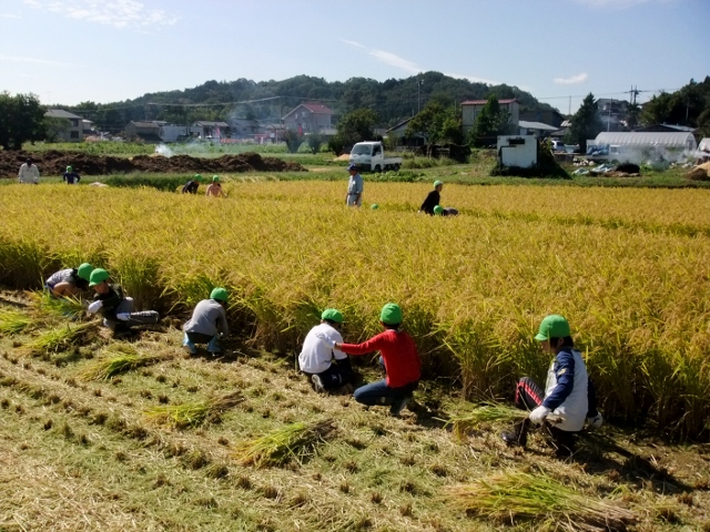 小学生の「田植え」「稲刈り」作業体験